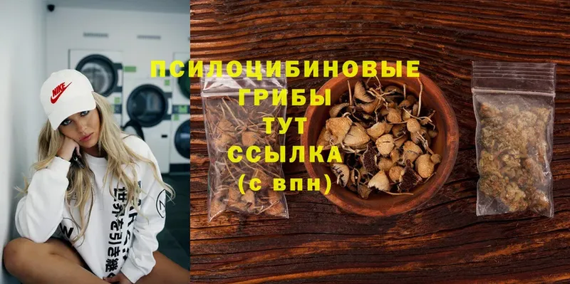 ссылка на мегу ссылки  продажа наркотиков  Тобольск  Галлюциногенные грибы GOLDEN TEACHER 